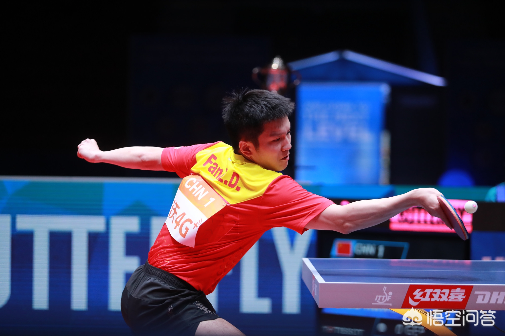 在体育装备 在体育装备