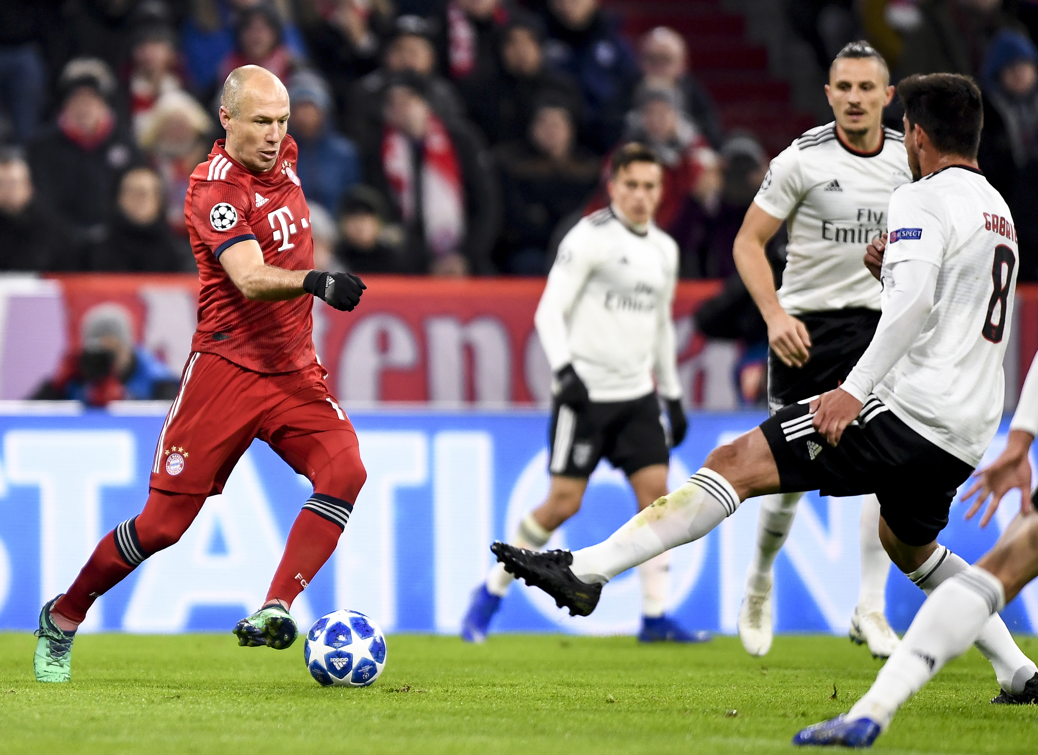 成为你登临 成为你登临